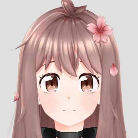 Airi (rig)